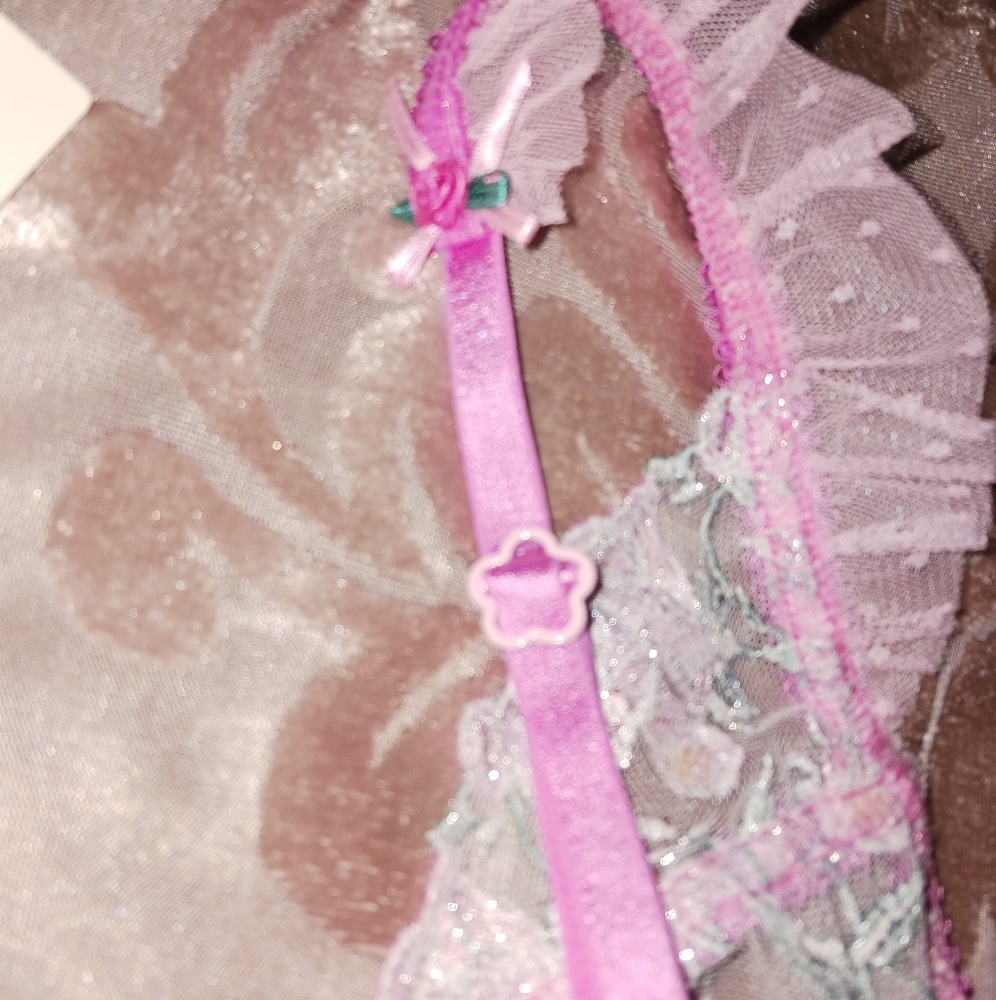 Victoria's Secret Viviane Rose Underwire Bra - Picture 6 of 6